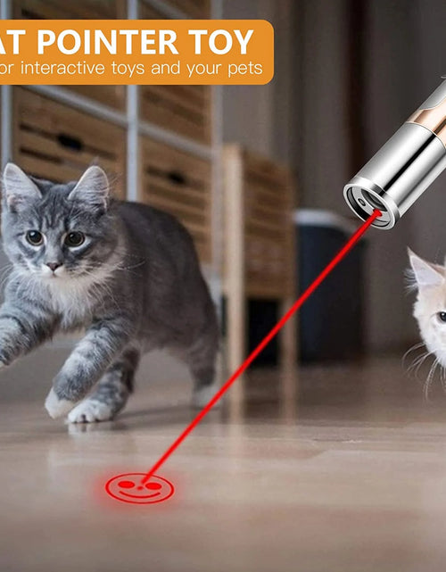 Load image into Gallery viewer, Cat Laser Pointer Toy Rechargeable,Interactive Toy for Cat Kitten Dog with a Mouse Toy,Silver
