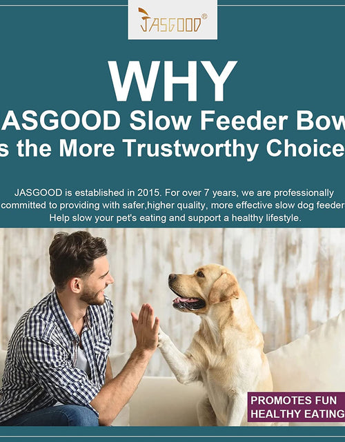 Load image into Gallery viewer, Slow Feeder Dogs Bowl for Large Dogs,Anti-Gulping Pet Slower Food Feeding Bowls Stop Bloat,Preventing Choking Healthy Design Dogs Bowl
