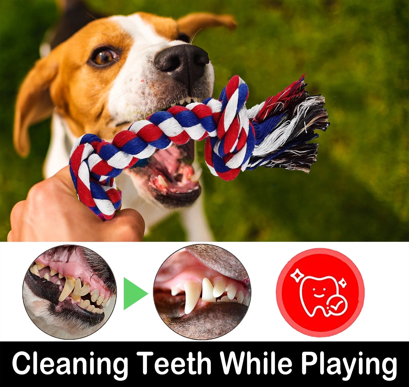 Large Dog Chew Toys for Aggressive Chewers, 12 Pack Indestructible Dog Rope Toys for Large Breeds, Heavy Duty Dental Cotton Rope Dog Toys, Puppy Teething Chew Toys, Tug of War Dog Toy