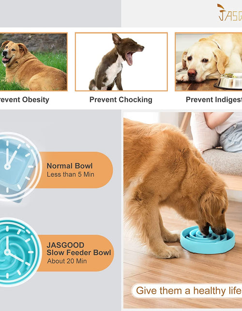 Load image into Gallery viewer, Slow Feeder Dogs Bowl for Large Dogs,Anti-Gulping Pet Slower Food Feeding Bowls Stop Bloat,Preventing Choking Healthy Design Dogs Bowl
