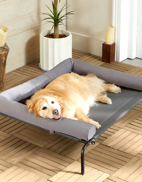 Load image into Gallery viewer, 43&quot;Lx31&quot;Wx8&quot;Th Dog Bed with Breathable Mesh, Skid-Resistant Feet, Cooling Chew Proof Portable Pet Cot, Elevated Large Dog Bed
