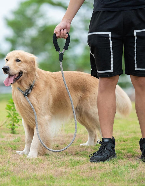 Load image into Gallery viewer, 6 FT Durable Slip Lead Dog Leash with Padded Handle and Highly Reflective Threads, Dog Training Leash, (Medium/Large, 35~120 Lbs., Grey)
