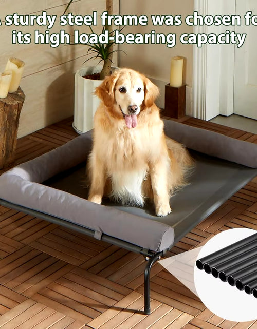 Load image into Gallery viewer, 43&quot;Lx31&quot;Wx8&quot;Th Dog Bed with Breathable Mesh, Skid-Resistant Feet, Cooling Chew Proof Portable Pet Cot, Elevated Large Dog Bed
